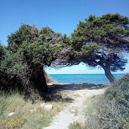 Beach-apartmet-20-mt-from-the-beach Διαμέρισμα La Caletta